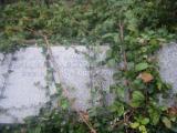 image of grave number 431905
